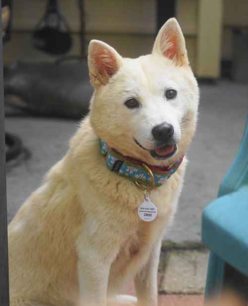 Lulla