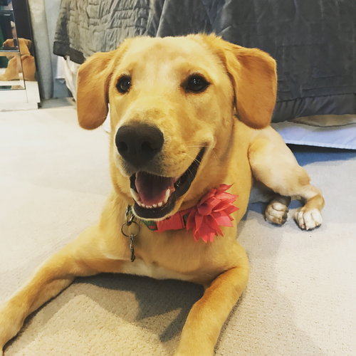 Ruby