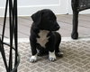 Lucy