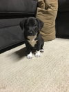 Lucy
