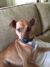 Sammy