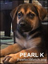 Pearl K