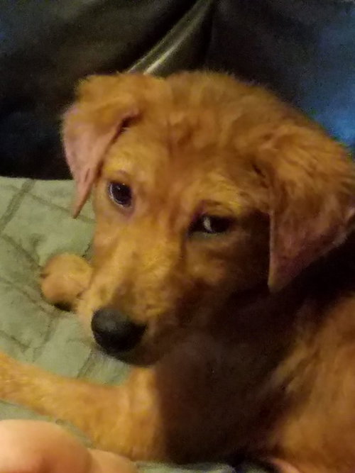 Coco