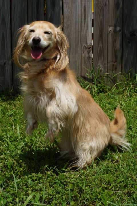 Chloe