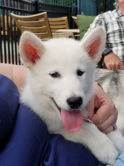 Luna