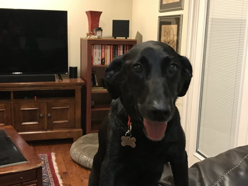 Nora