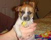 Miss Daisy