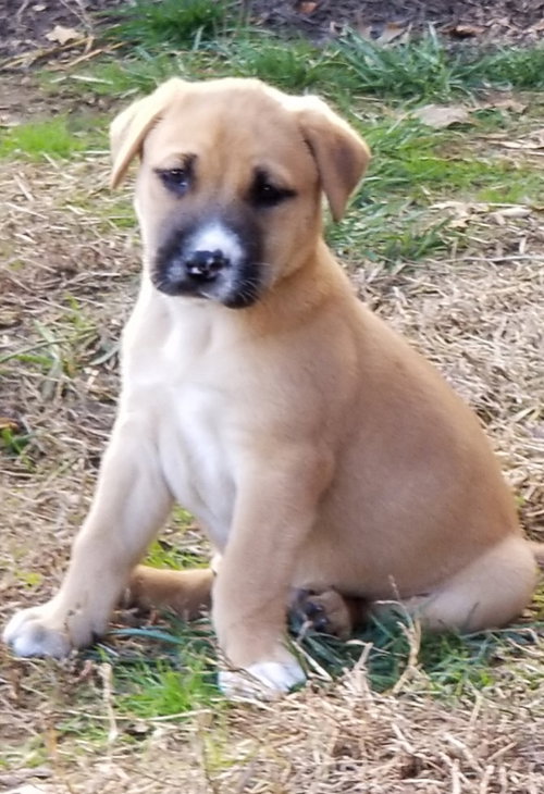 Logan