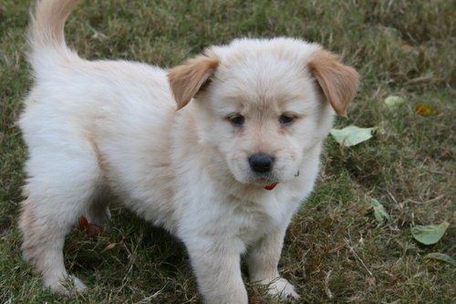 Charlie