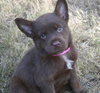 Grace Ann