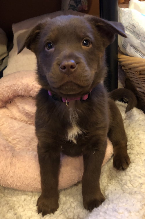 Grace Ann