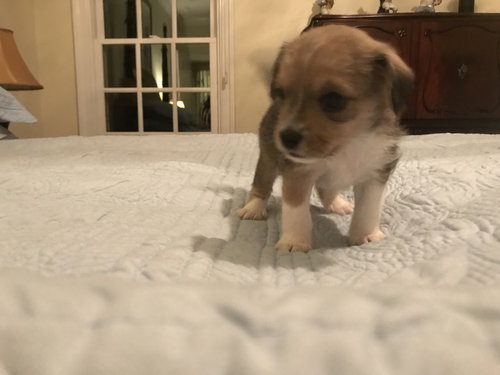 Quinn