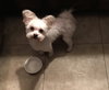 Harvey