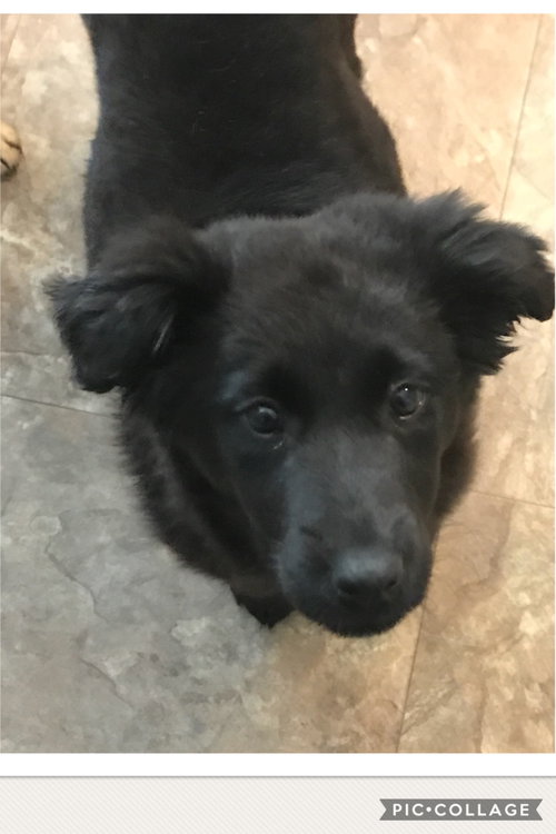 Minnie