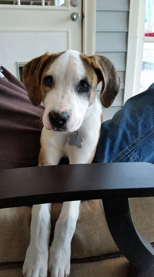 Murphy