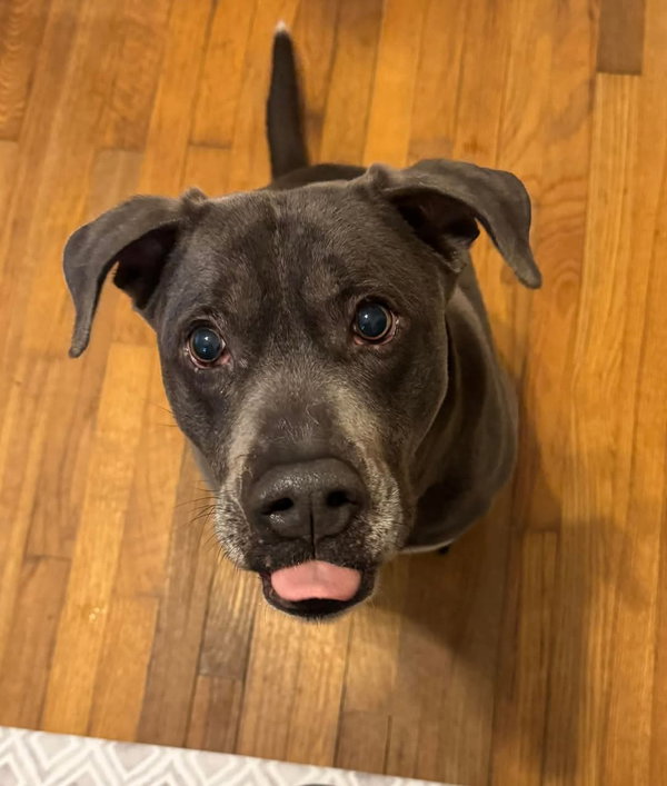 Cooper