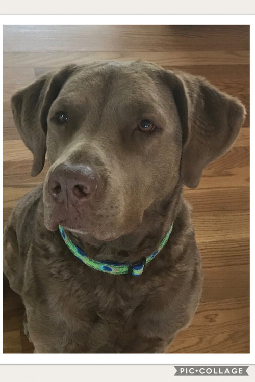 Mason-- Courtesy Listing