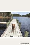 Mason-- Courtesy Listing