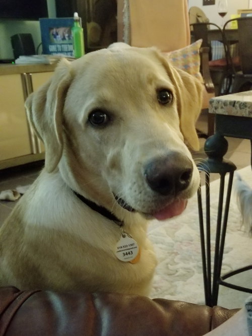 Sam