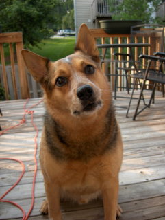 Coby