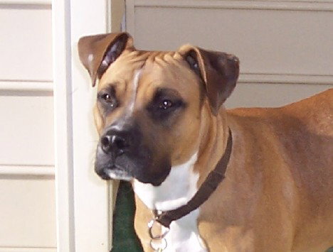 Mason