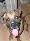 Mason