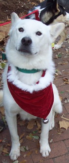 Nikko