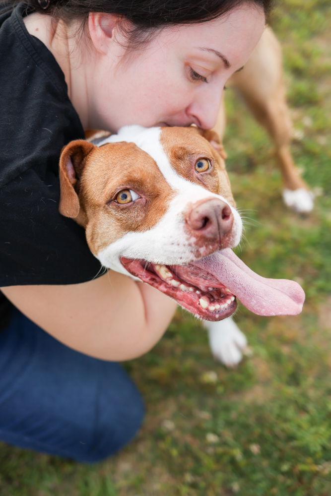 adoptable Dog in Holly Springs, NC named Emma