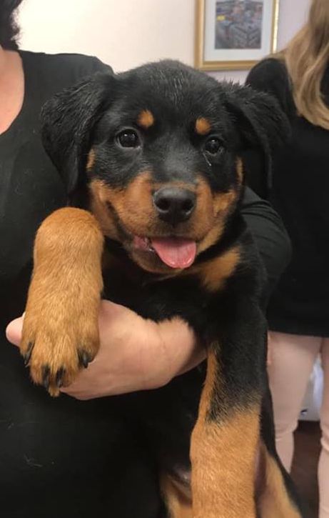 Sophie