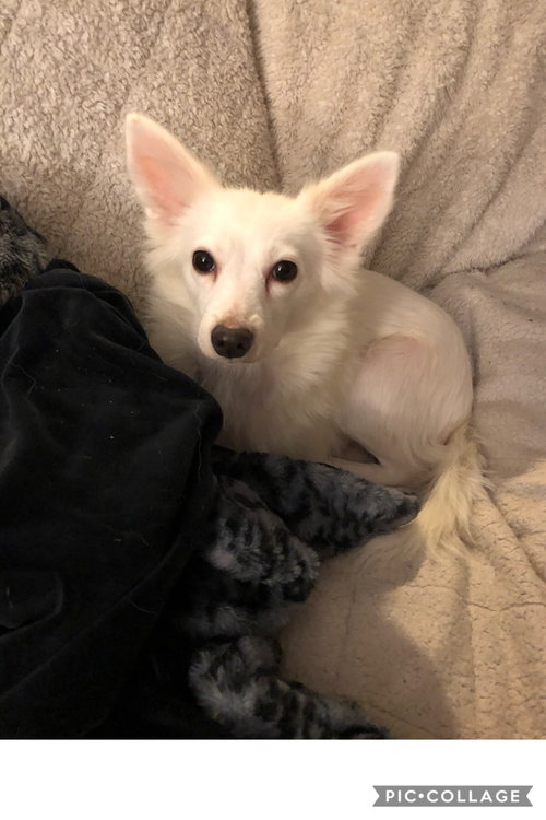 Coco
