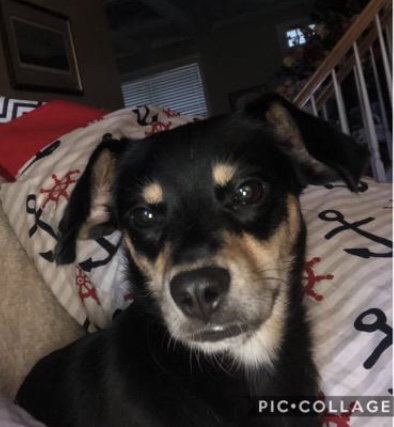 Zuzu