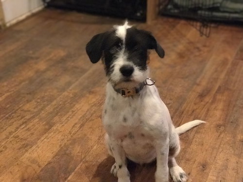 Millie