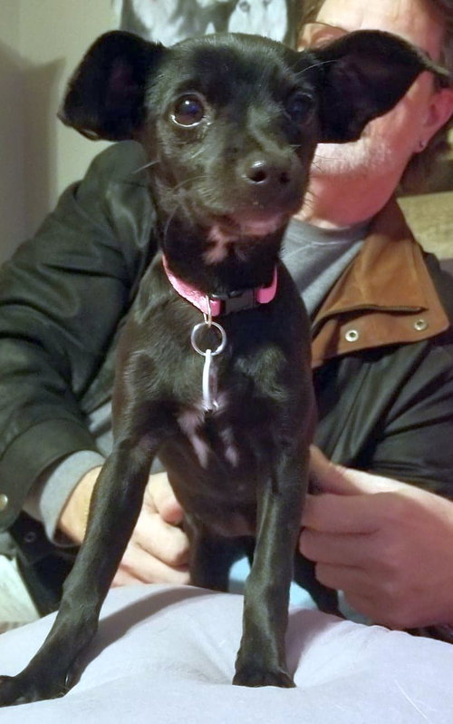 Mitzi