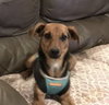 Mimi