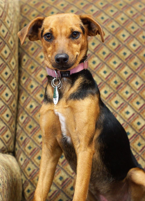 Mimi