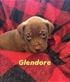Glendore