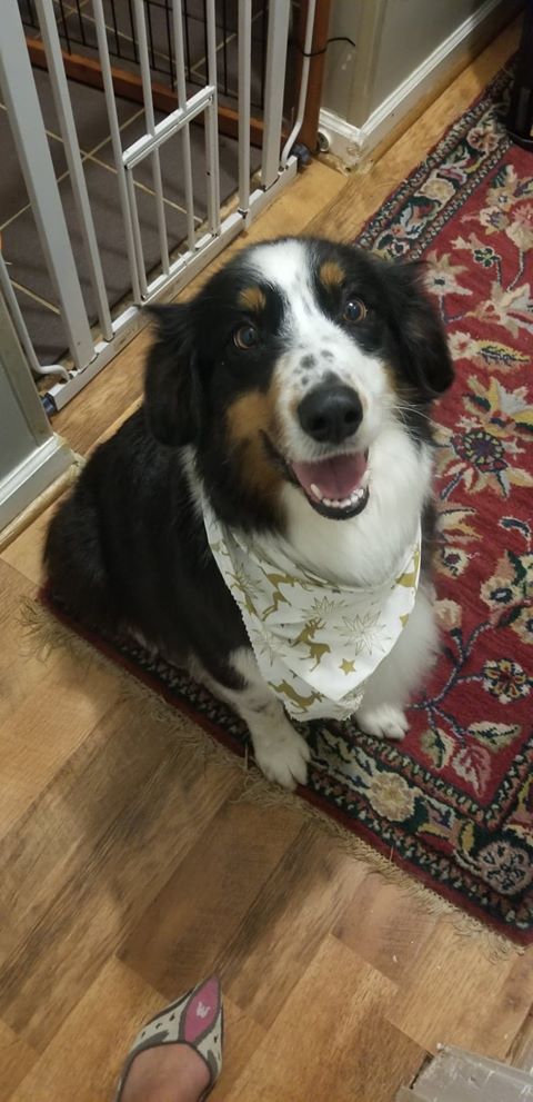 Athena