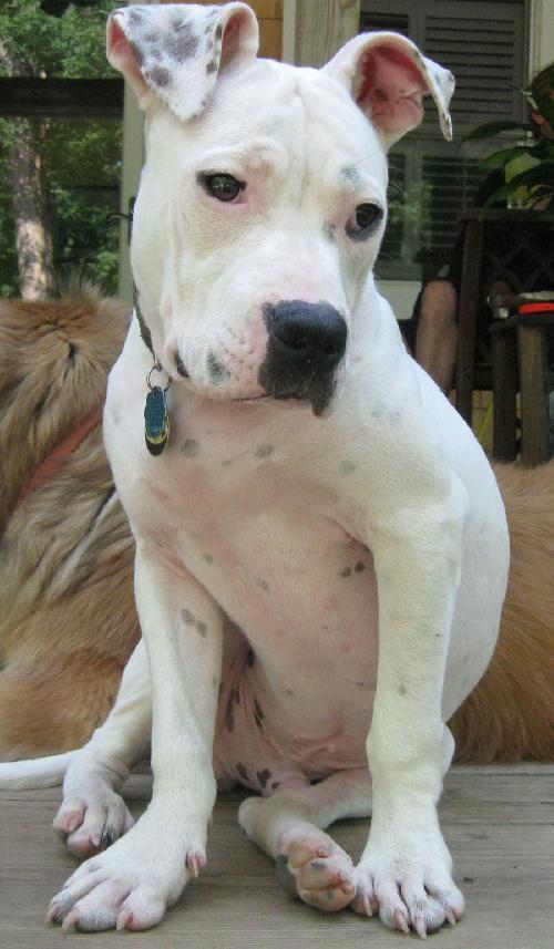 Buster
