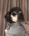 Charlie