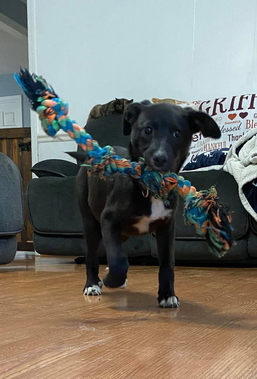 Marley
