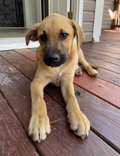 Charlie