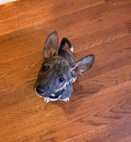 Luna
