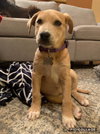 Finley