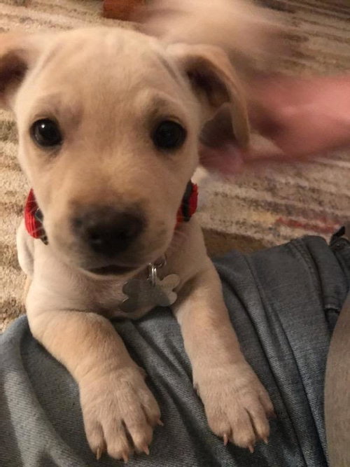 Sam