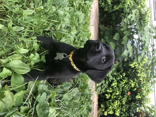 Mr Tucker