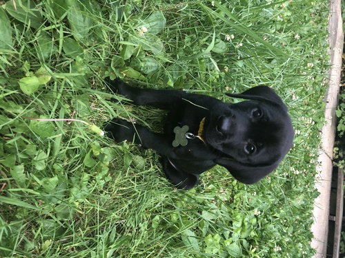 Fiona
