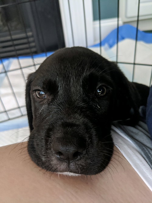 Murphy