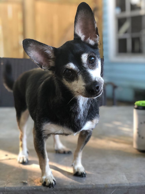 Max