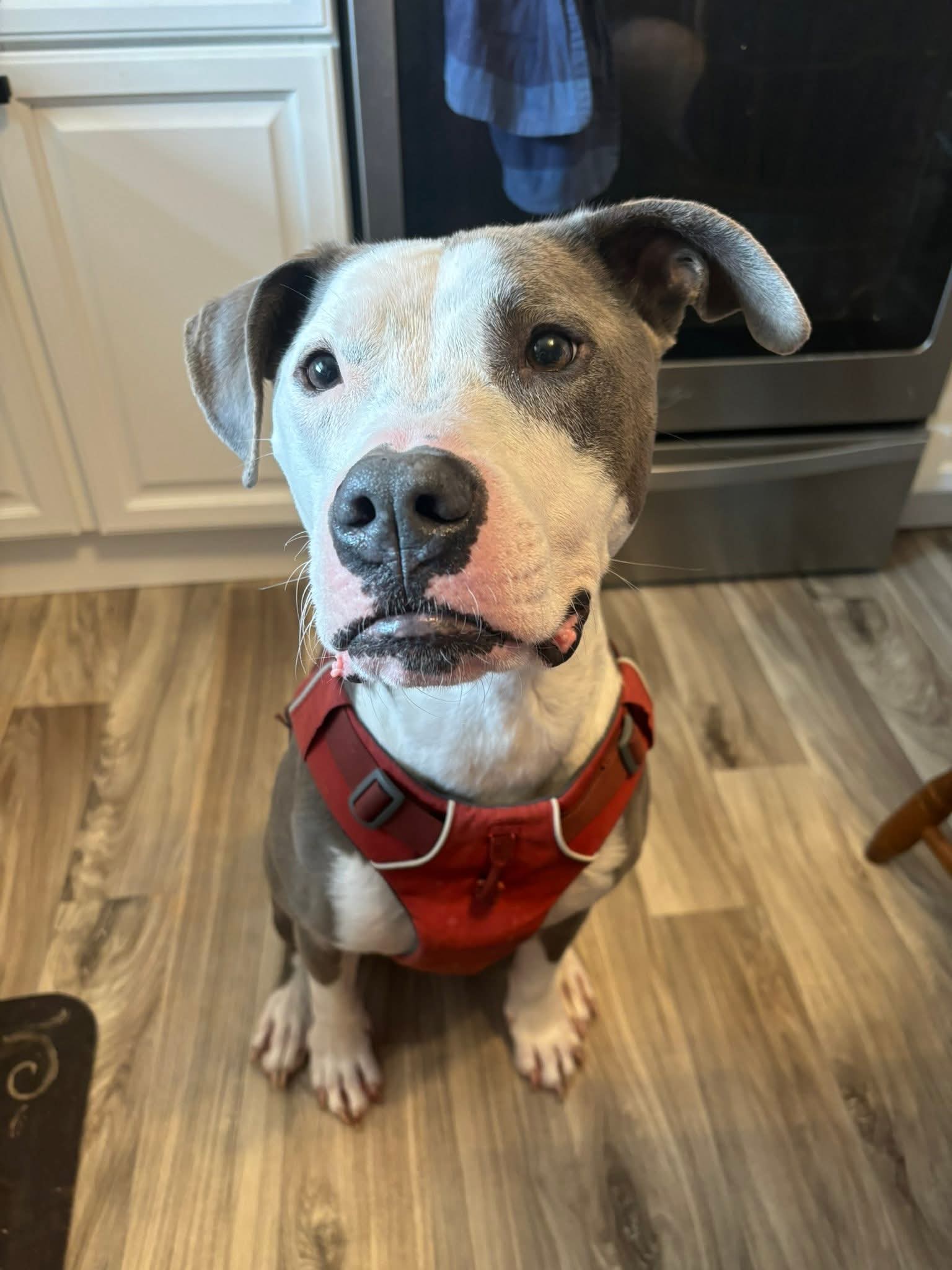 Buster