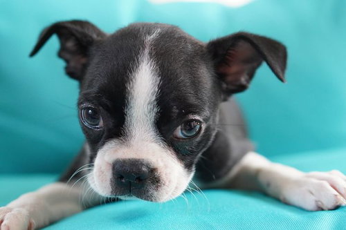 Lucy